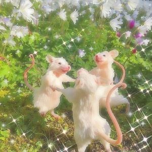 Meet your Posher, Alison